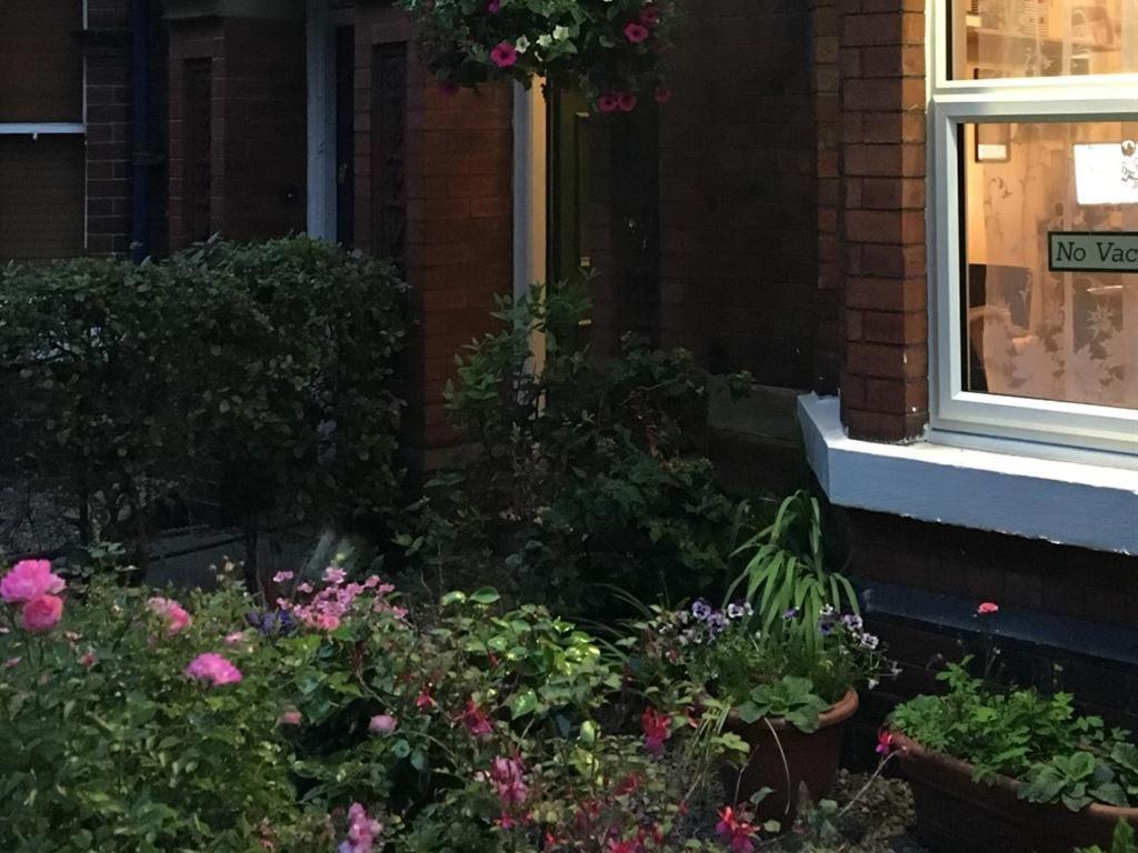 Bed & Breakfast Burton